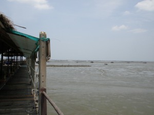 南棟から見たバンコク海