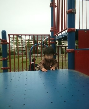 公園