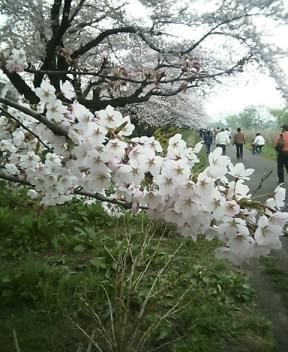 北上