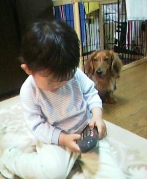 ワンコ