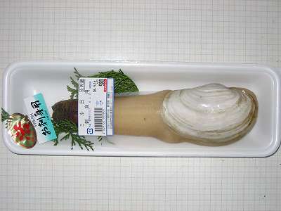 こんなもの・・・