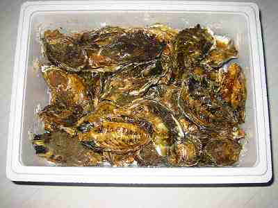 姫からの爆弾ｗ