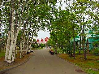 s-720 yoichi nikka 1