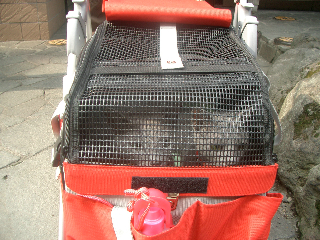 カートの中には何が・・・？