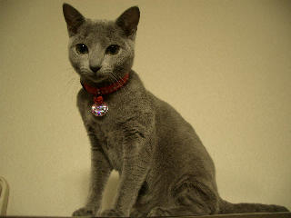 なんか　凛々しい、、