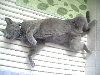 だらしない。。。ですよね