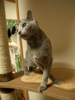 手・・ひねってますが・・・