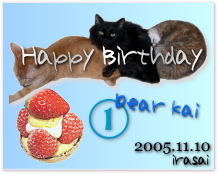 いらさい　海BD