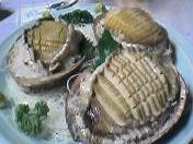 アワビのお刺身