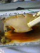 アワビのお刺身