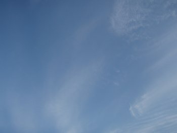 Pc310028.jpg