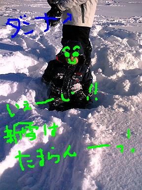 雪まみれ.JPG