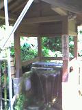 亀岡文殊-2