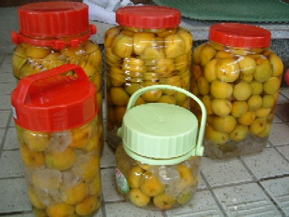 梅酒　２００７