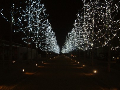 冬ソナ　ストリート