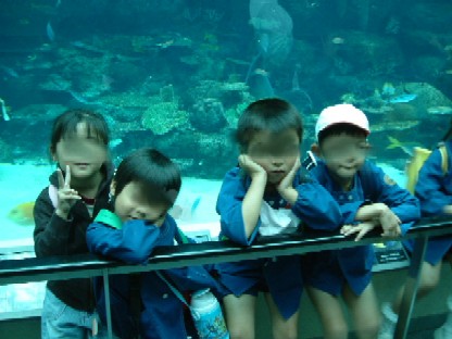 名古屋港水族館