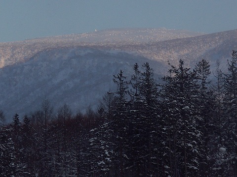 ２月３日の写真です。