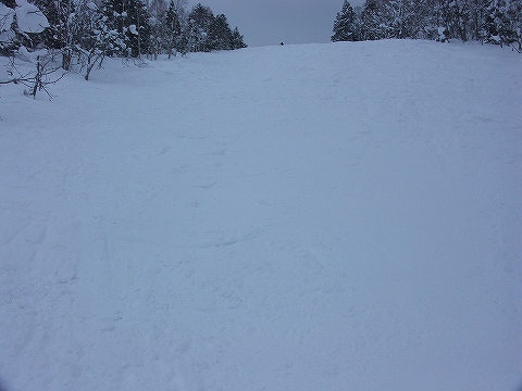 写真じゃ判りにくいですが…