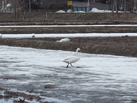 これこれ…どこへ行くんですか！？