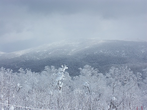 ピヤシリ山