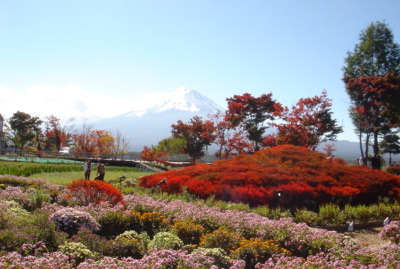 紅葉祭り