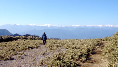 竜ガ岳から南アルプス