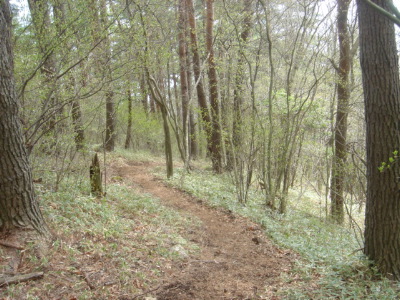 十二ガ岳登山道