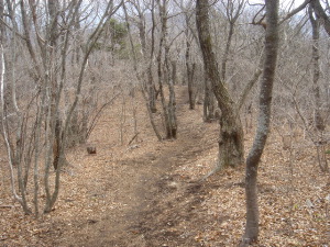 毛無の登山道