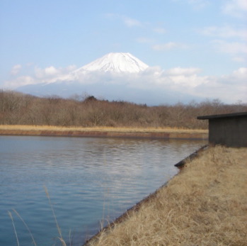 朝霧の貯水池