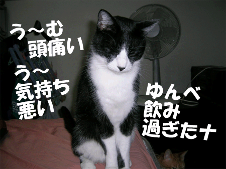 クルトン二日酔い