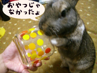 違うじゃん！！