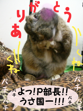 とってもお上手ねっ