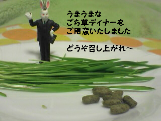 ごち草デイナー