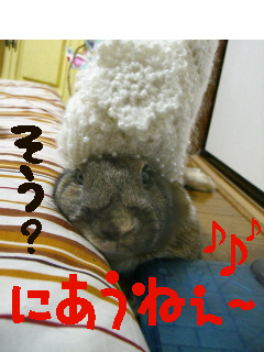 よくお似合いですわ