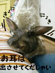ウサ耳は・・・