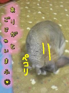 わちさんありがと★