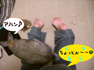 楽しいの～？
