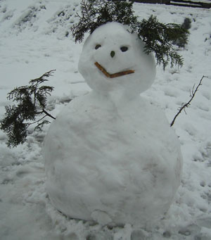 雪だるま.jpg