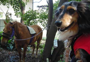 お馬さんとツーショット.jpg