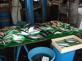 2006_10130009.jpg