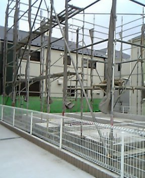 足場１月１７日