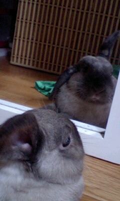 ナルちゃん！？