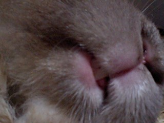 触っちゃうぞ～