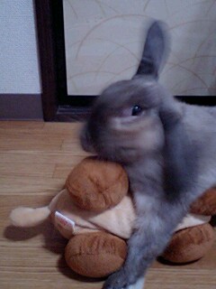 あそぼ～