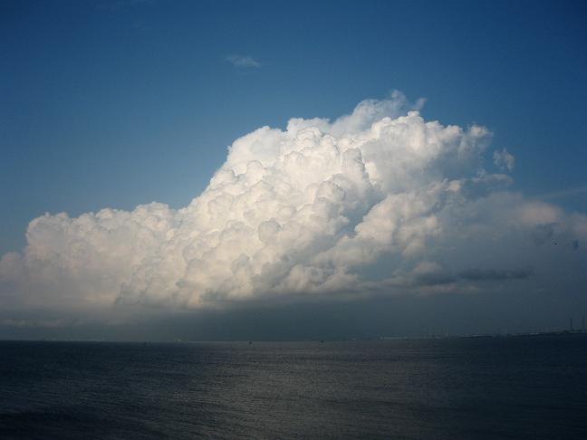 見つめていたい