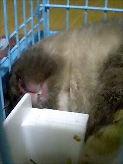 ＺＺＺ・・・