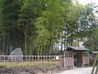 参道３