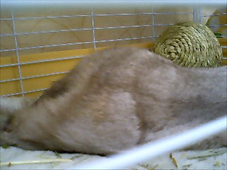 魅惑のヒップライン＾＾