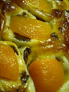 あんずとれーずんのパン２