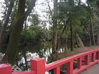 池